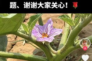 西媒：皇马对去年夏天签下的19岁中卫里贝斯非常满意